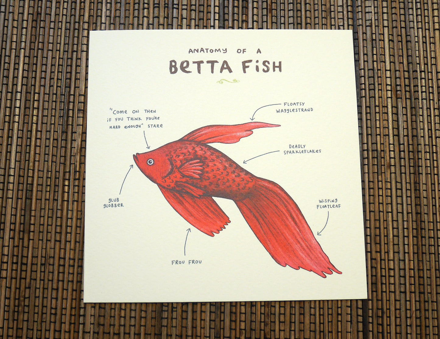 Anatomy of a Betta Fish Card