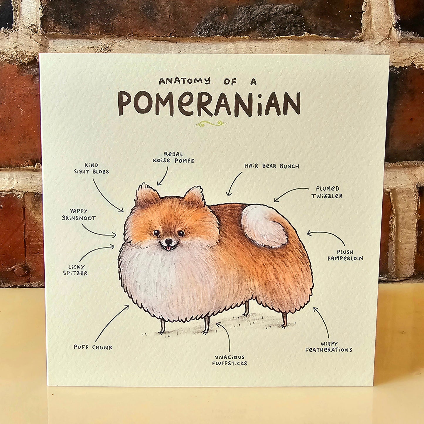 Anatomy of a Pomeranian Greeting Card: Funny Dog Illustration