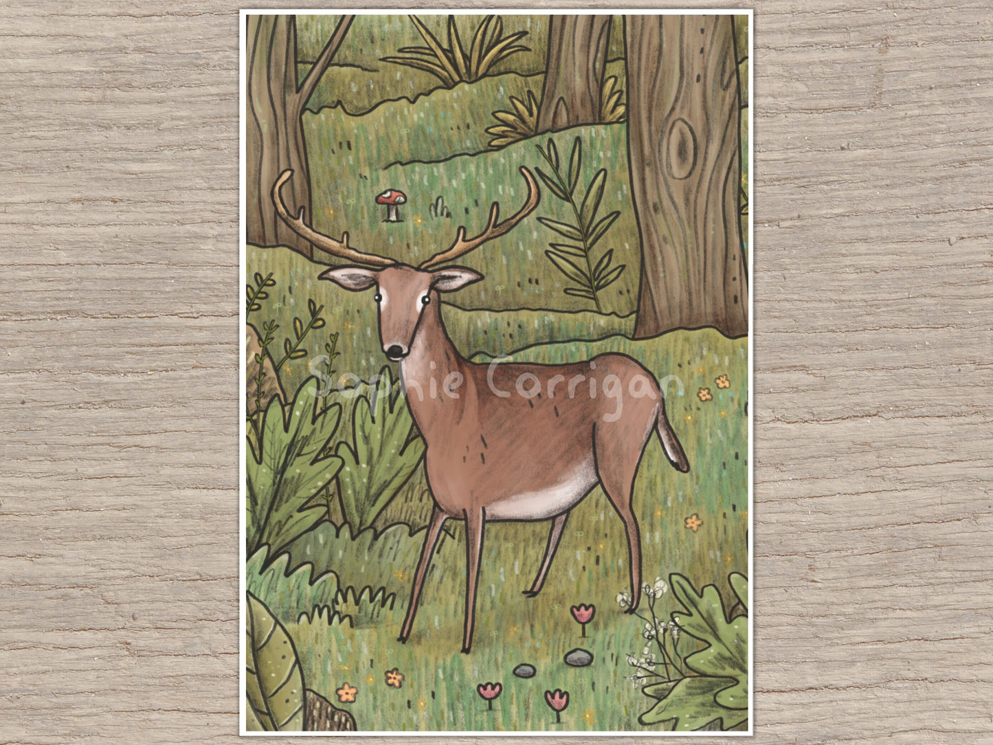 Deer in Woodland Signed Art Print