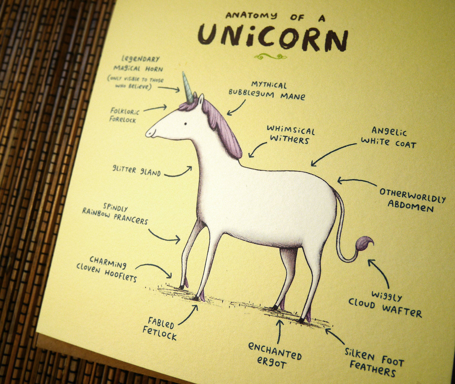 Anatomy Of A Unicorn Card