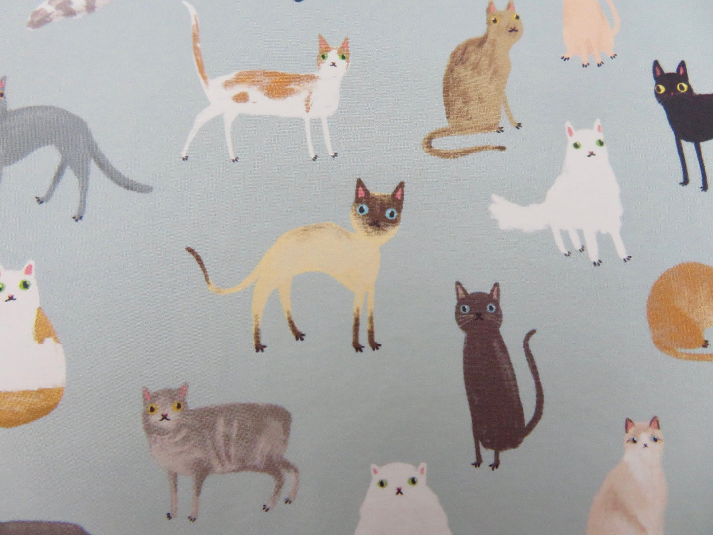 Purrfect Cats Birthday Card