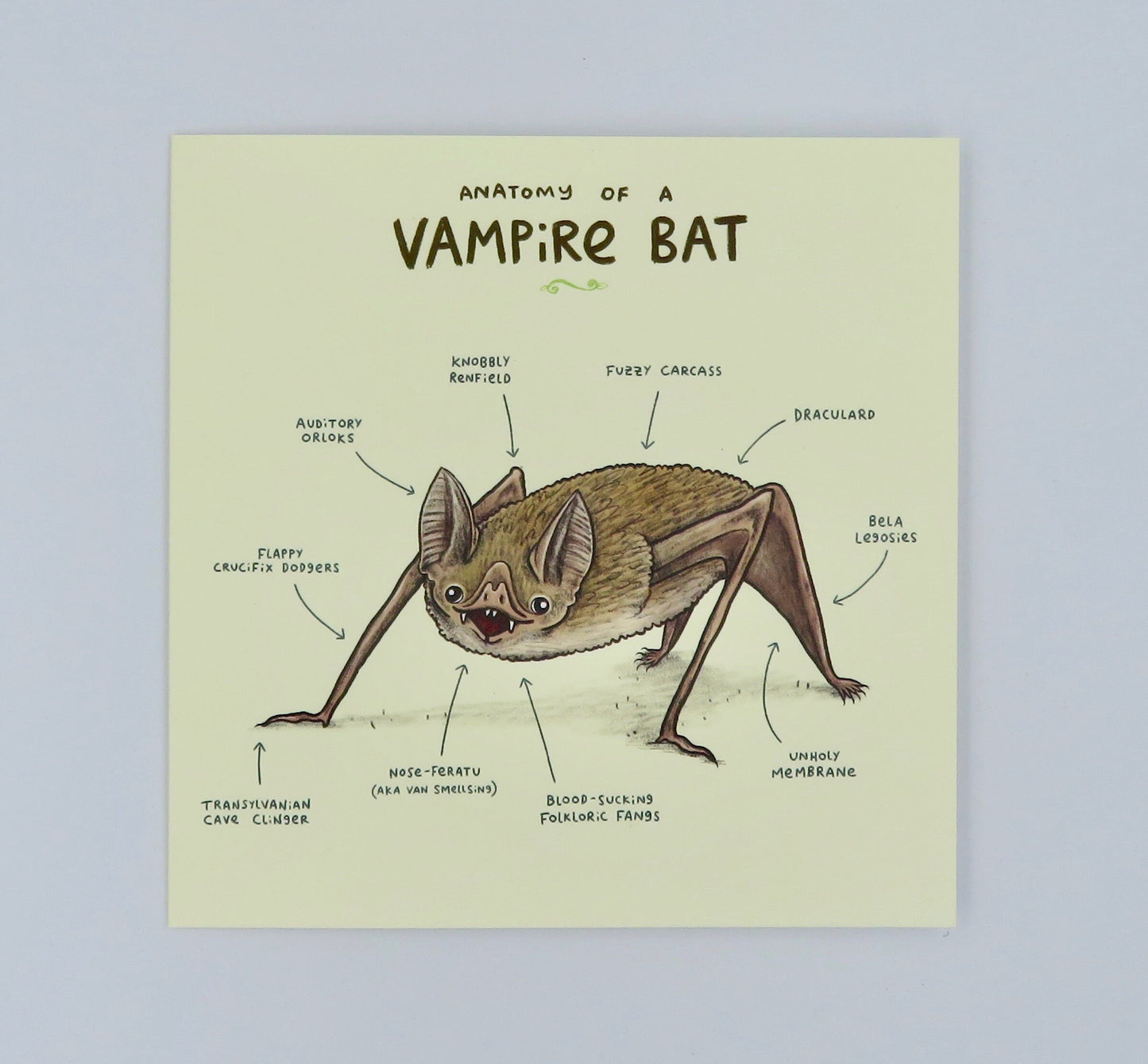 Anatomy Of A Vampire Bat Card