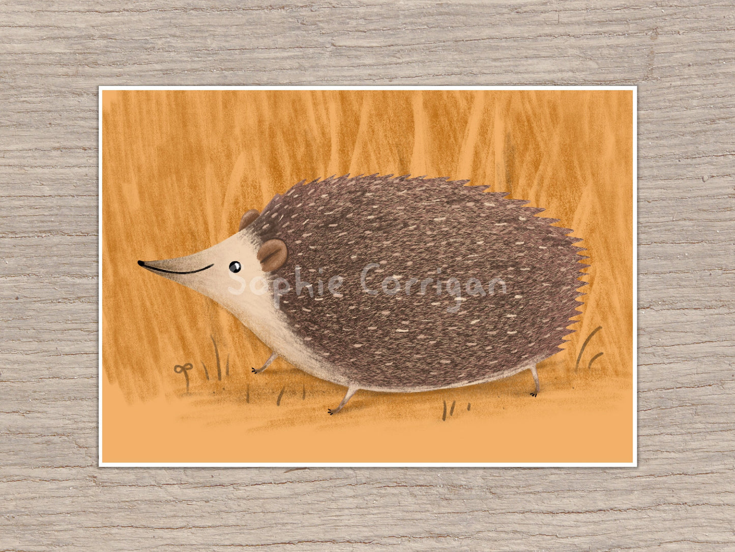 Hedgehog on Orange Art Print