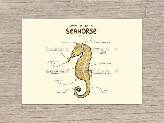 Anatomy of A Seahorse Signed Art Print