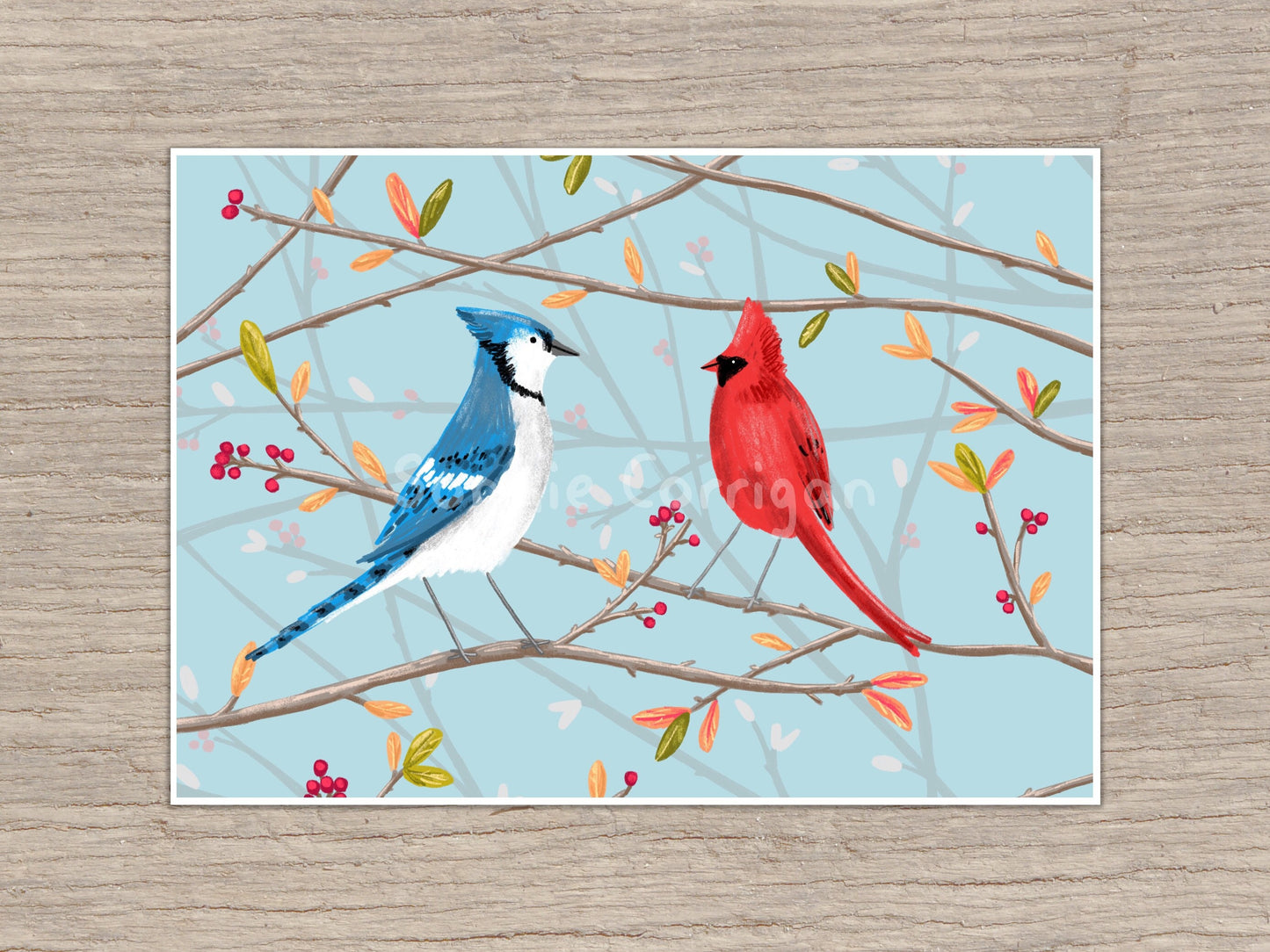 Blue Jay & Cardinal Signed Art Print