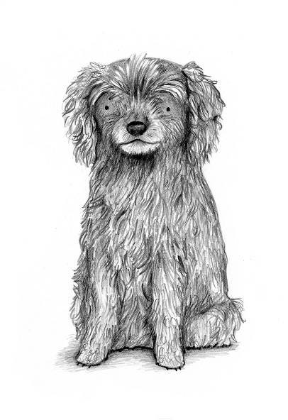 Pencil Pet Portrait - A4