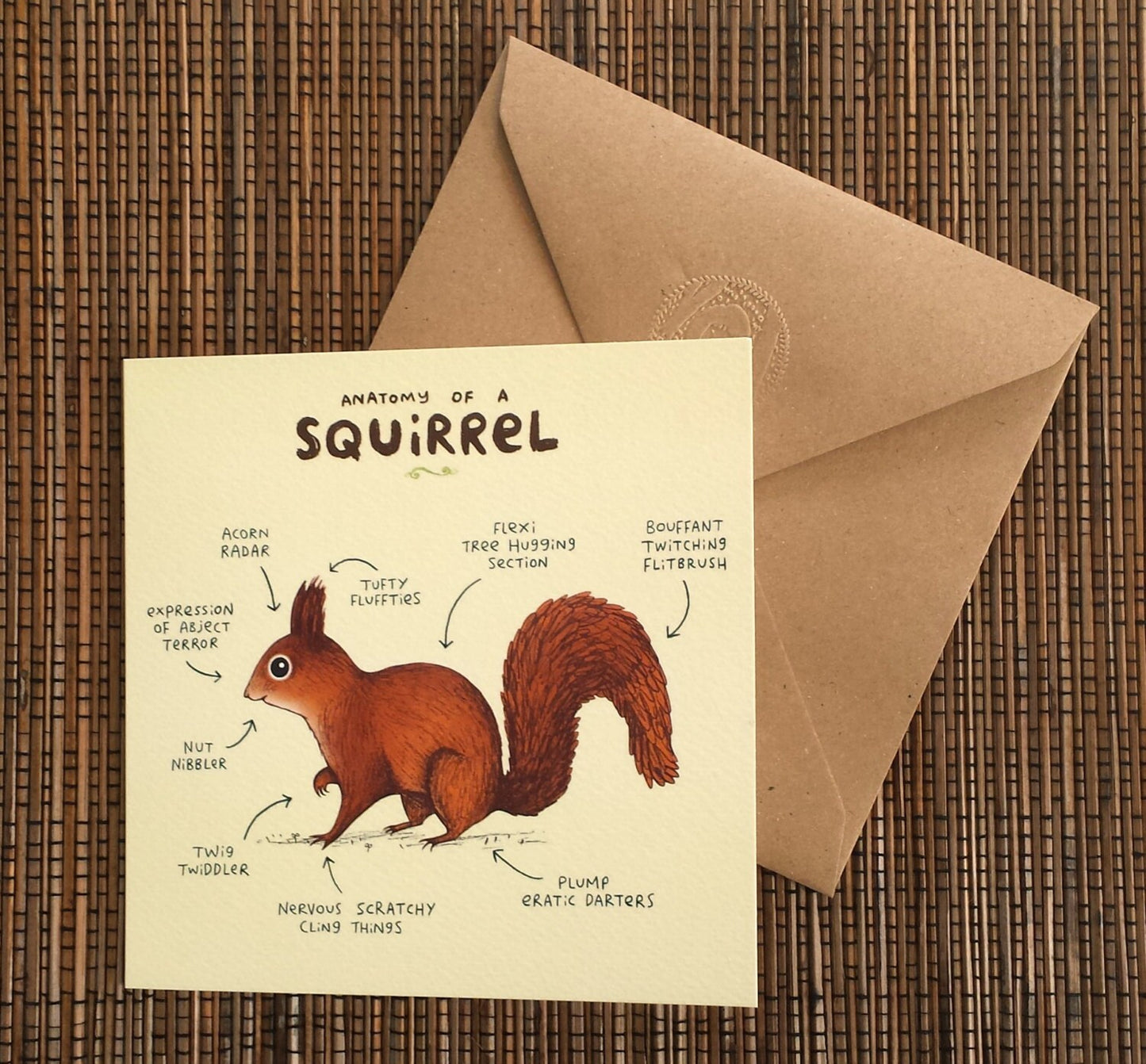 Anatomy Of A Squirrel Card