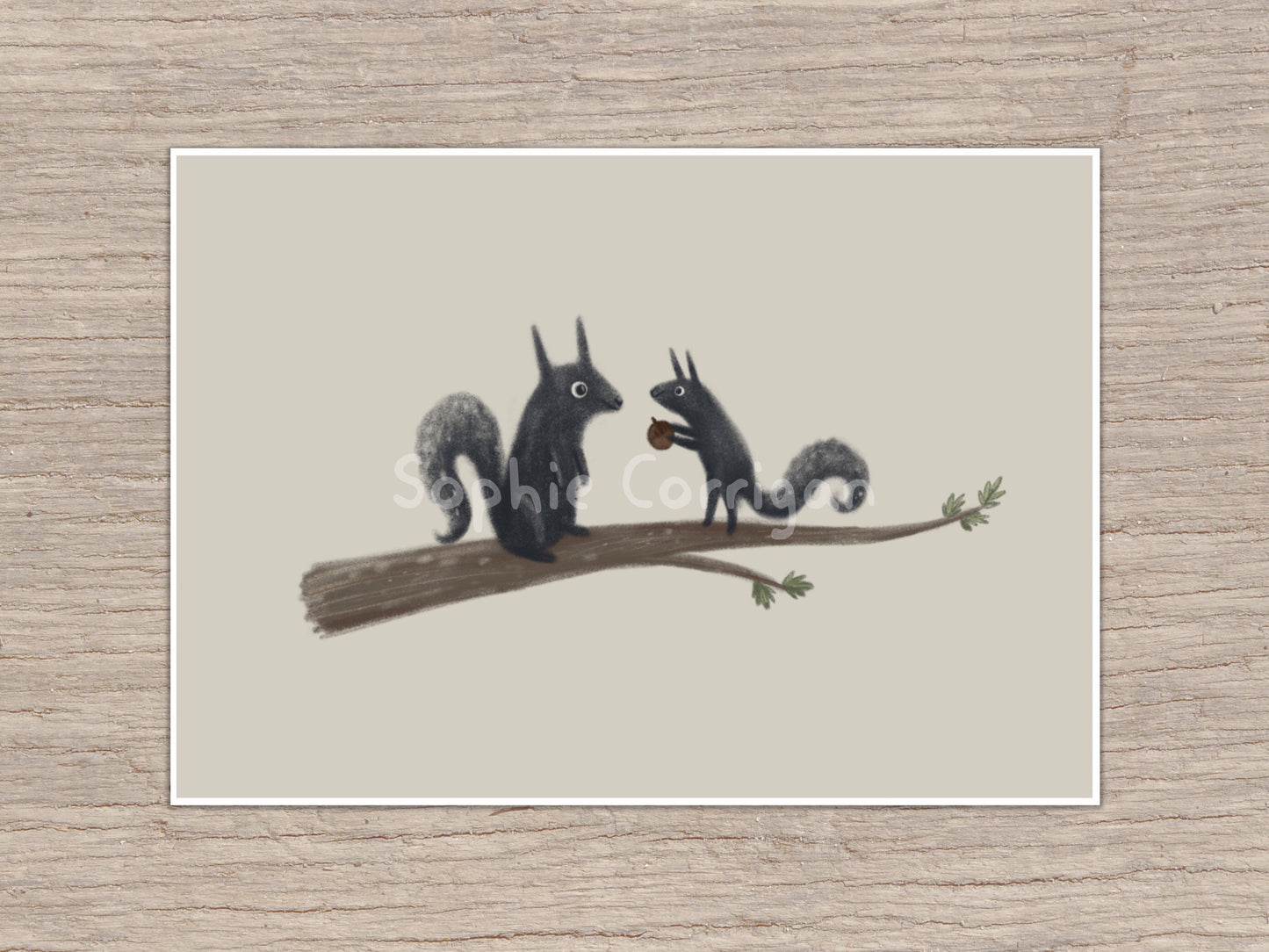 Black Squirrels Autumnal Illustration Signed Fine Art Print