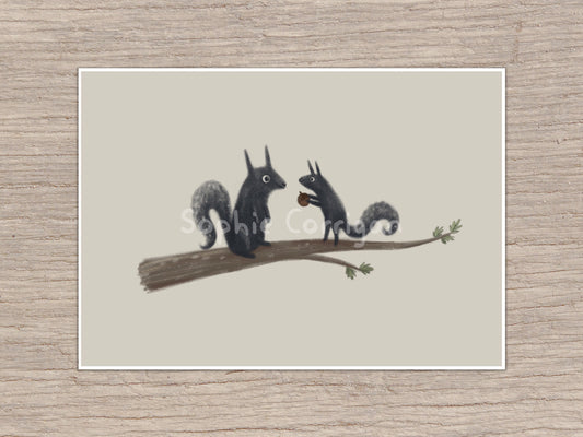 Black Squirrels Autumnal Illustration Signed Fine Art Print