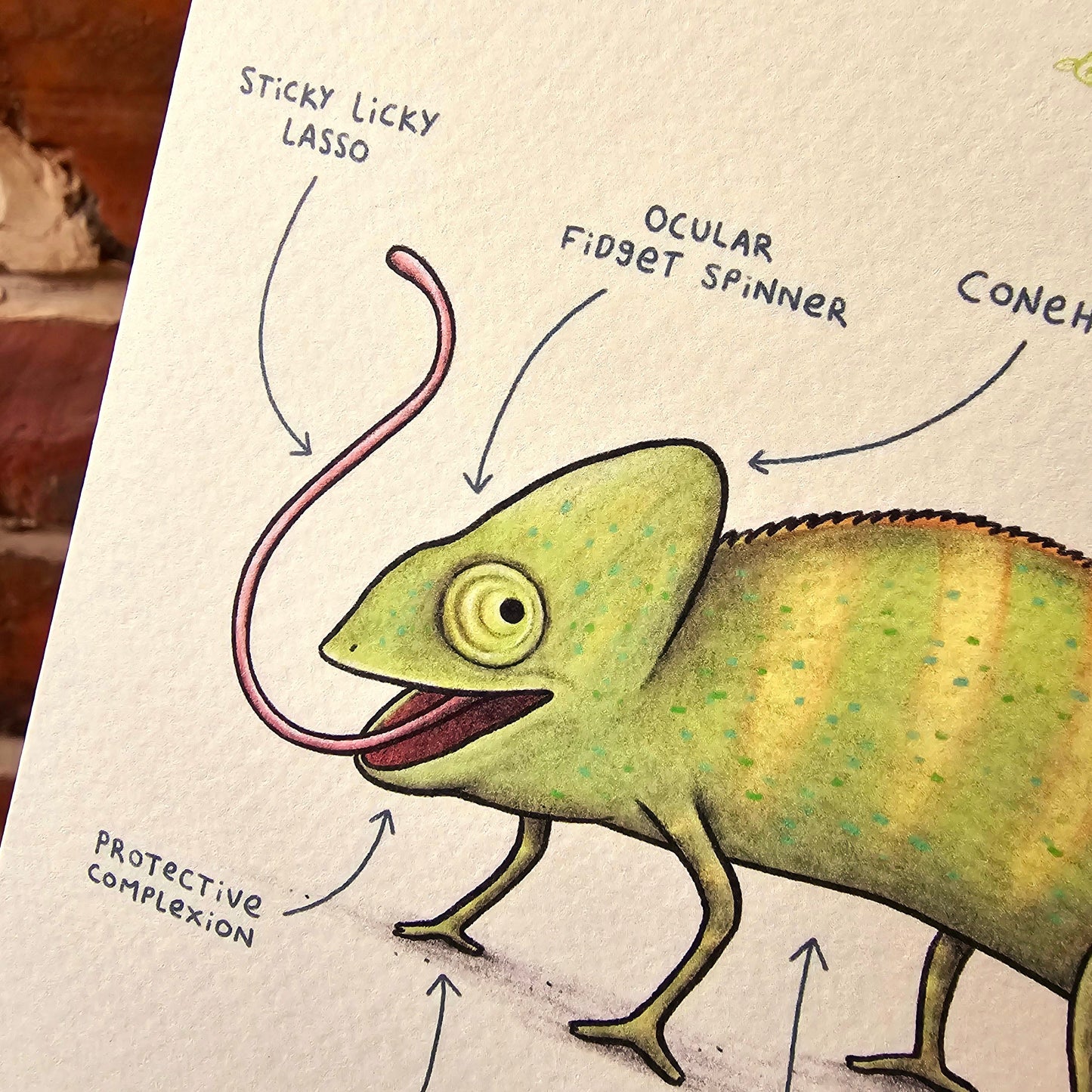 Anatomy of a Chameleon Greeting Card: Funny Scientific Illustration