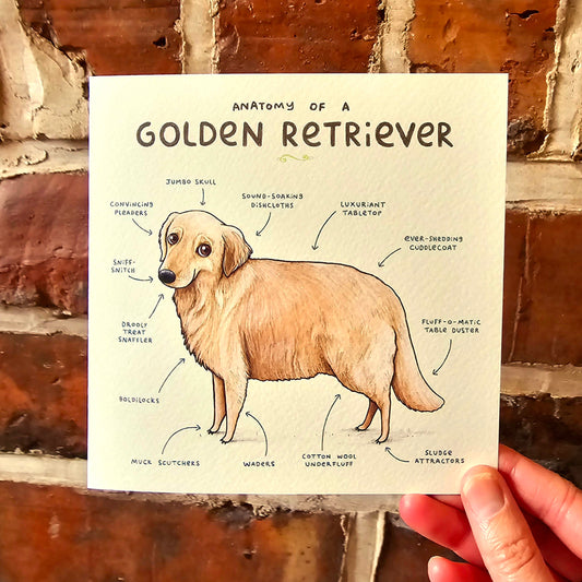 Anatomy of a Golden Retriever Greeting Card: Funny Dog Illustration