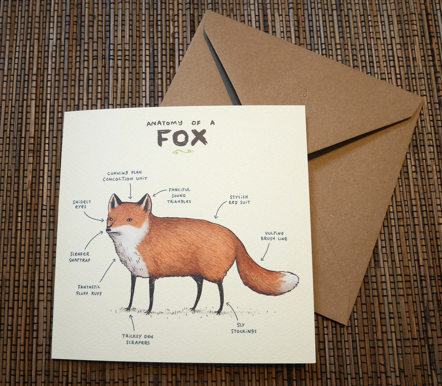 Anatomy Of A Fox Card