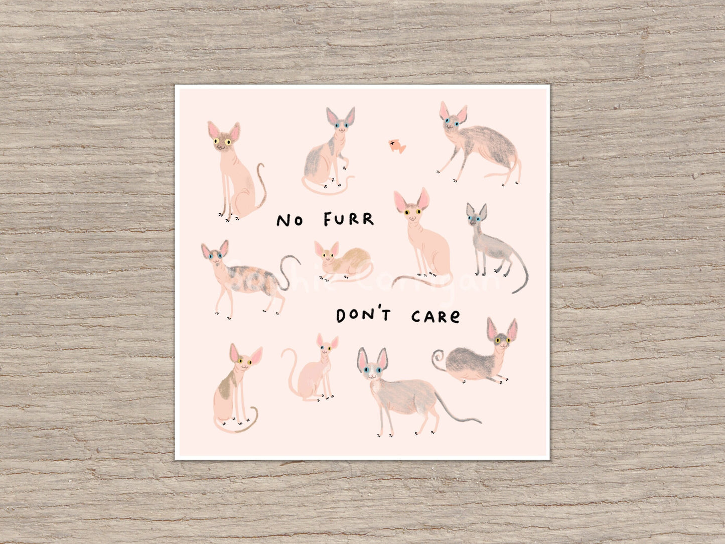 Sphynx Cats Signed Fine Art Print