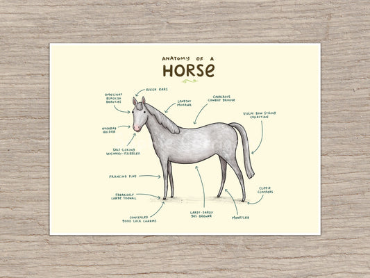 Anatomy of a Horse Signed Art Print