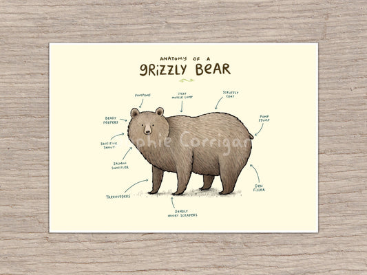 Anatomy of a Grizzly Bear Art Print: Funny Animal Illustration
