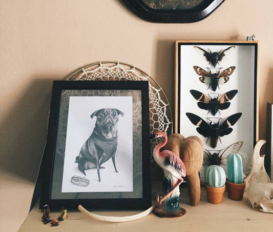 Pencil Pet Portrait - A5