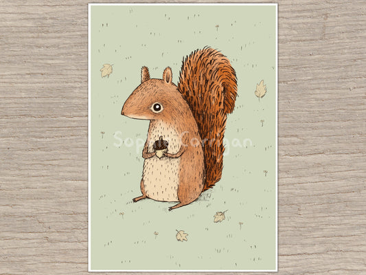 Sarah the Red Squirrel Signed Art Print