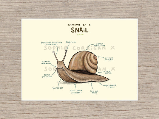 Anatomy of A Snail Signed Fine Art Print