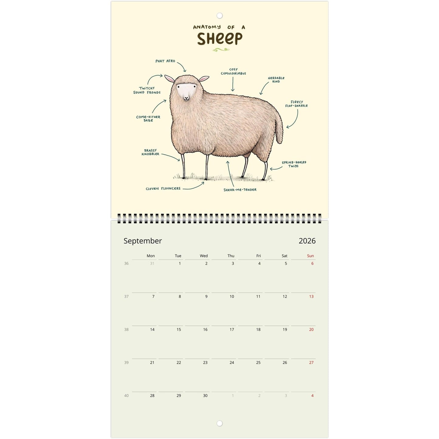 Animal Anatomy 2026 July - 2027 June Cute Creatures 12 Month Wall Calendar