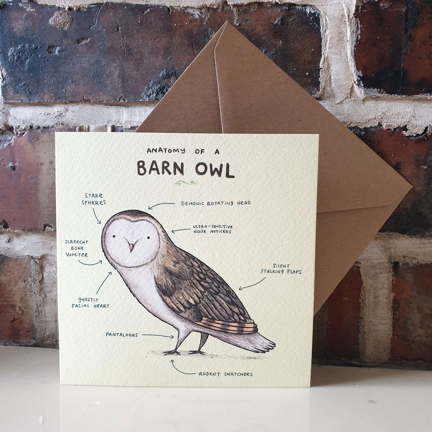 Anatomy of a Barn Owl Card: Scientific Animal Illustration
