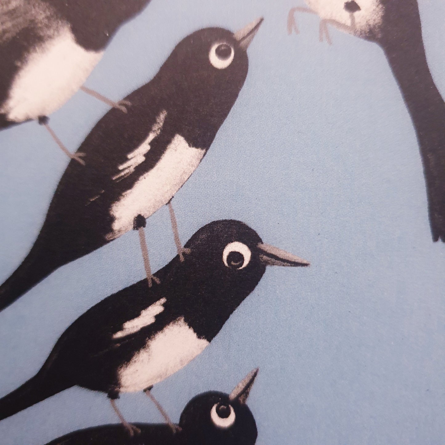 One For Sorrow Magpie Nursery Rhyme Mini Art Zine: Hand Signed Children's Picture Book