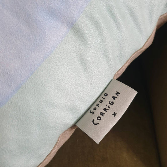 Anatomy of a Dachshund Vegan Suede Cushion, Sausage Dog Pillow