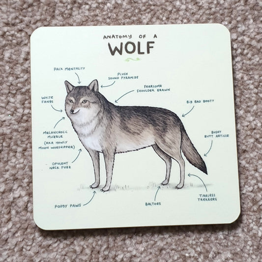 Anatomy of a Wolf Coaster