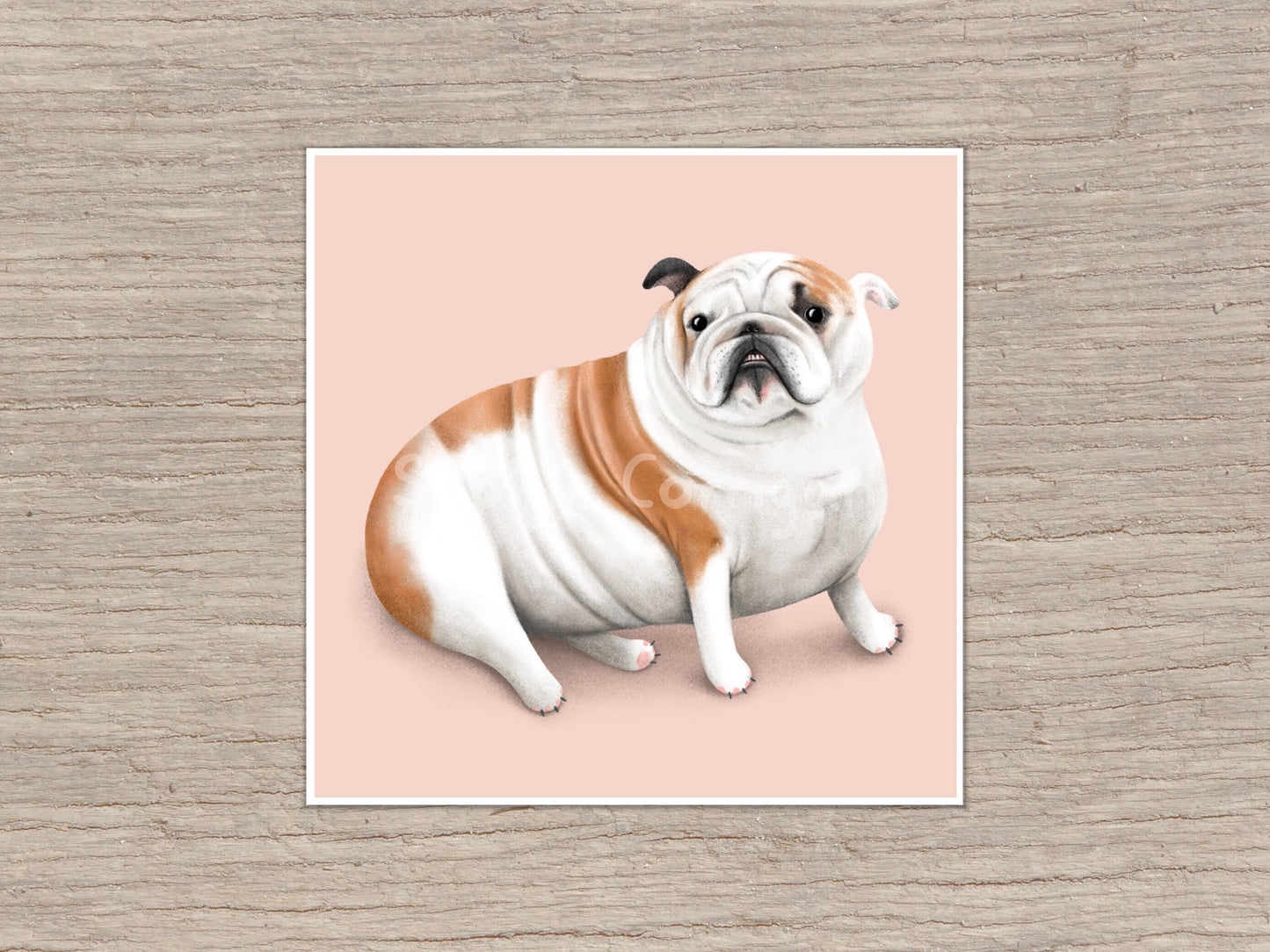 British Bulldog Portrait Signed Art Print