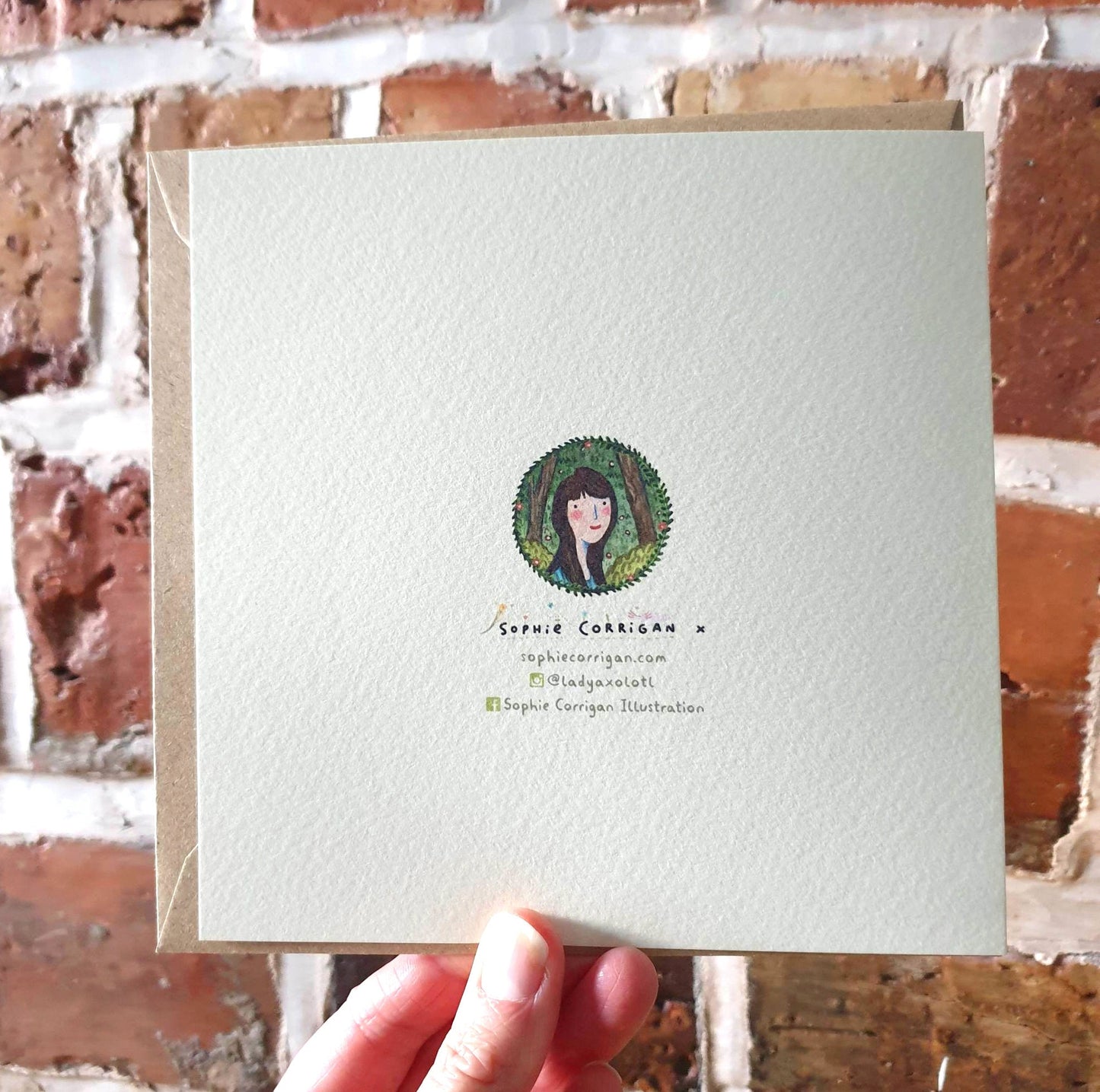Anatomy of a Snail Card: Scientific Animal Illustration