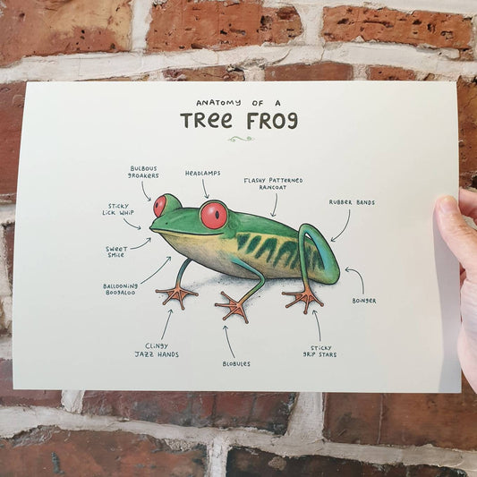 Anatomy Of A Tree Frog A4 Signed Print