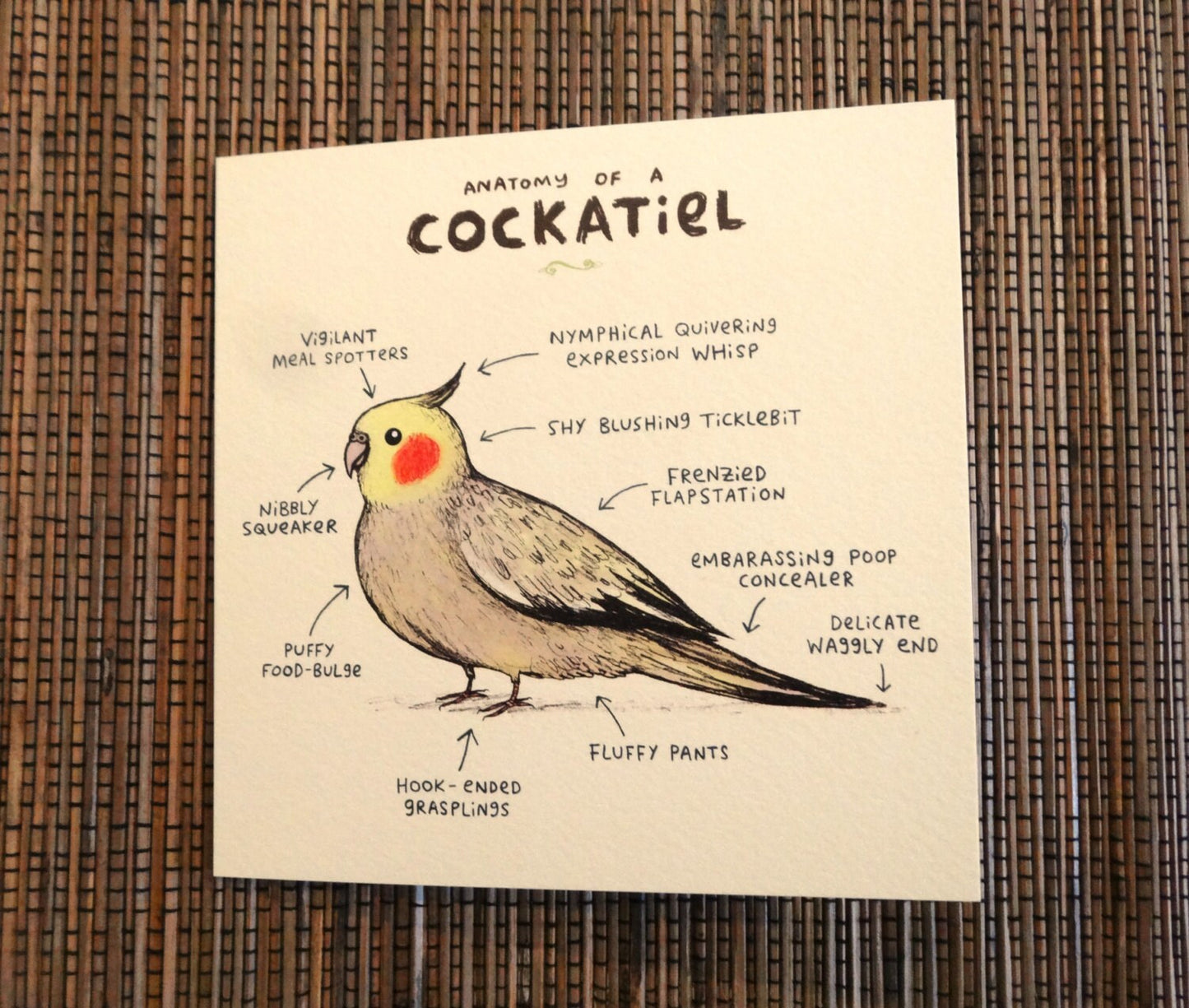 Anatomy Of A Cockatiel Card