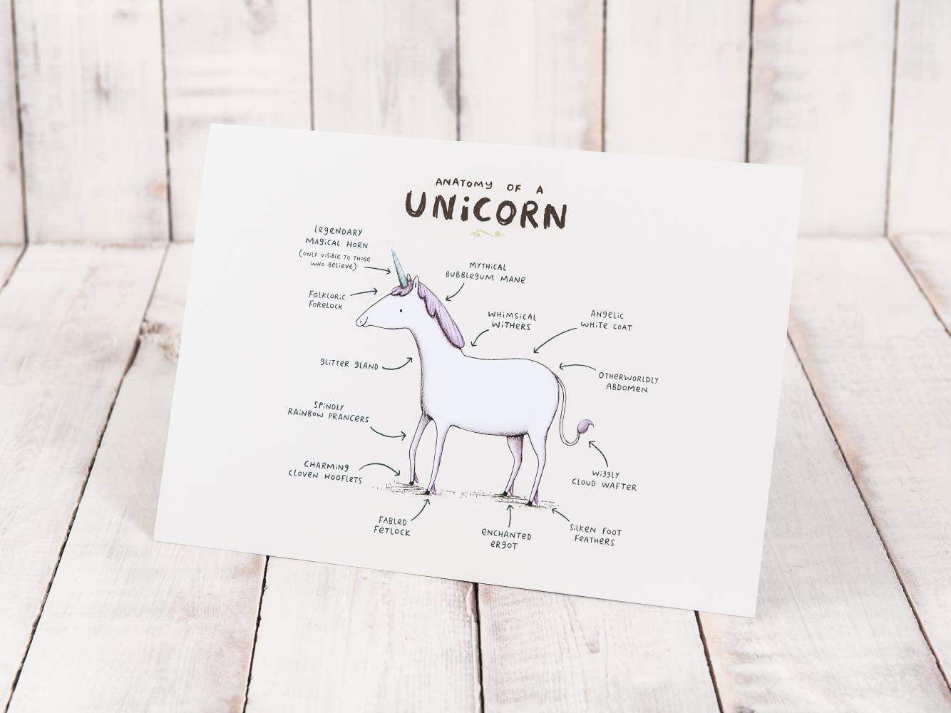 Anatomy Of A Unicorn A4 Signed Print Magical Horse