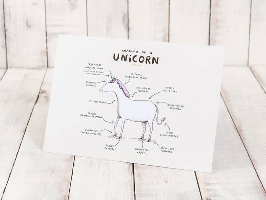 Anatomy Of A Unicorn A4 Signed Print Magical Horse
