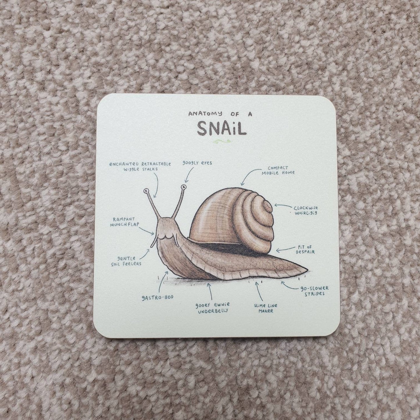 Anatomy of a Snail Coaster