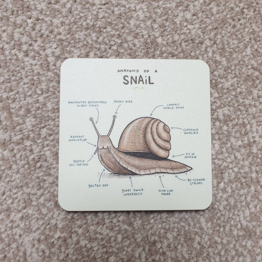 Anatomy of a Snail Coaster