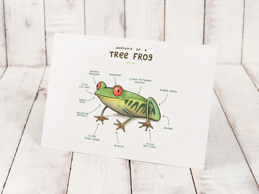 Anatomy Of A Tree Frog A4 Signed Print