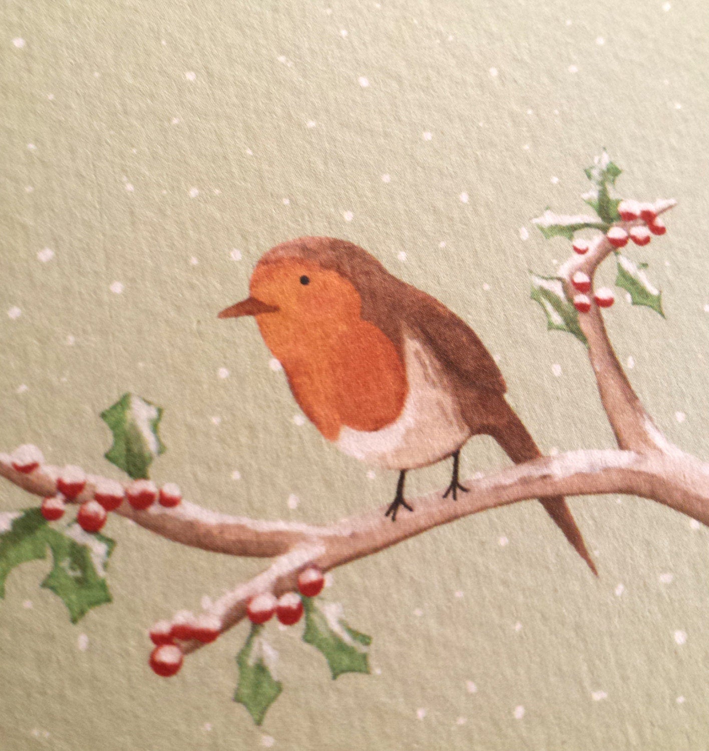 Robin on Branch Christmas Card