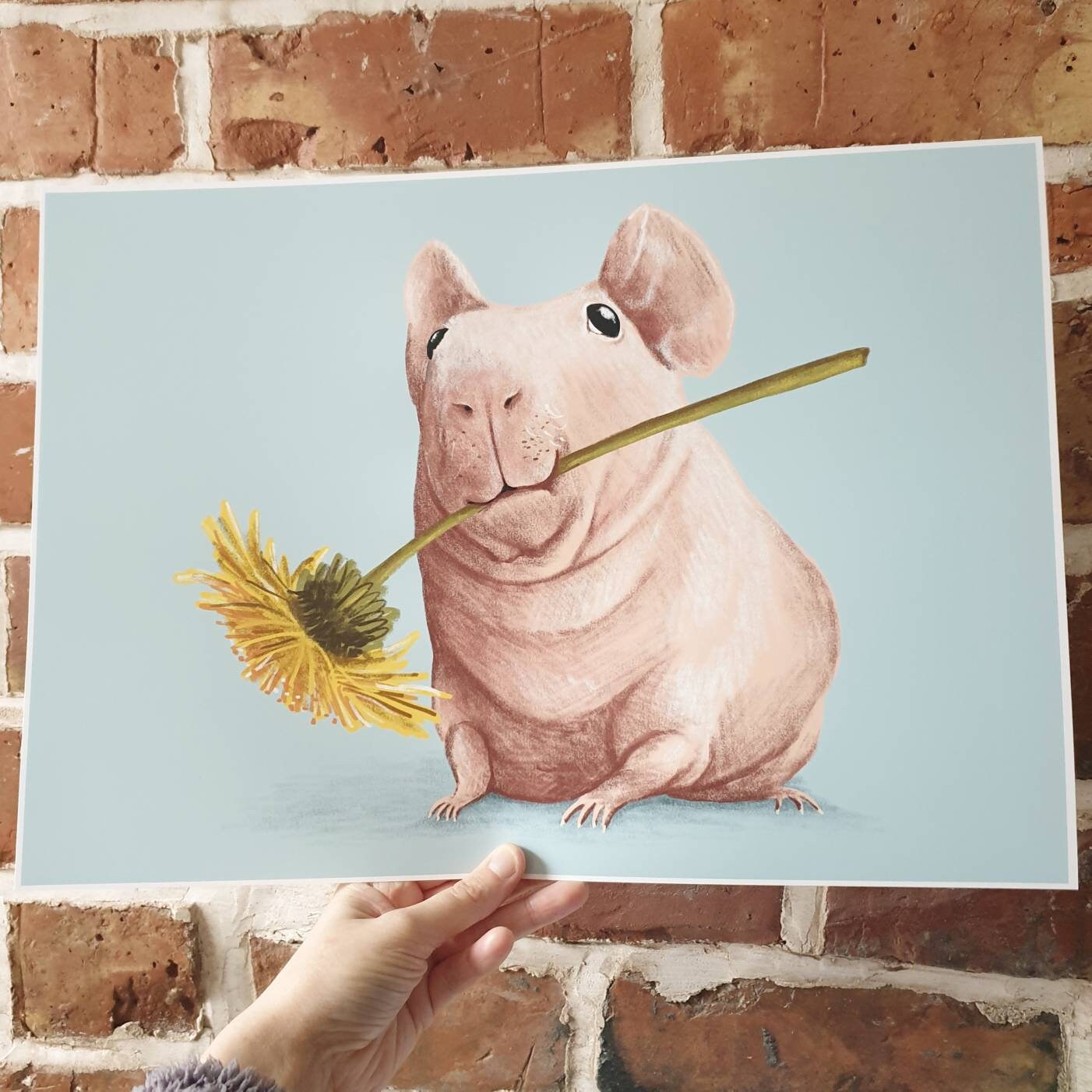 Skinny Pig Signed Art Print