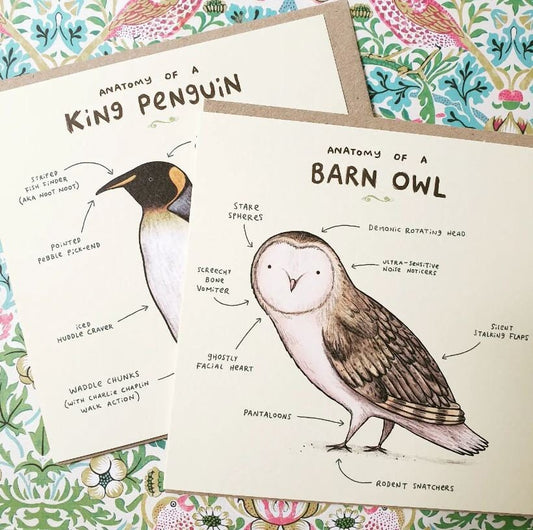Anatomy of a Barn Owl Card: Scientific Animal Illustration