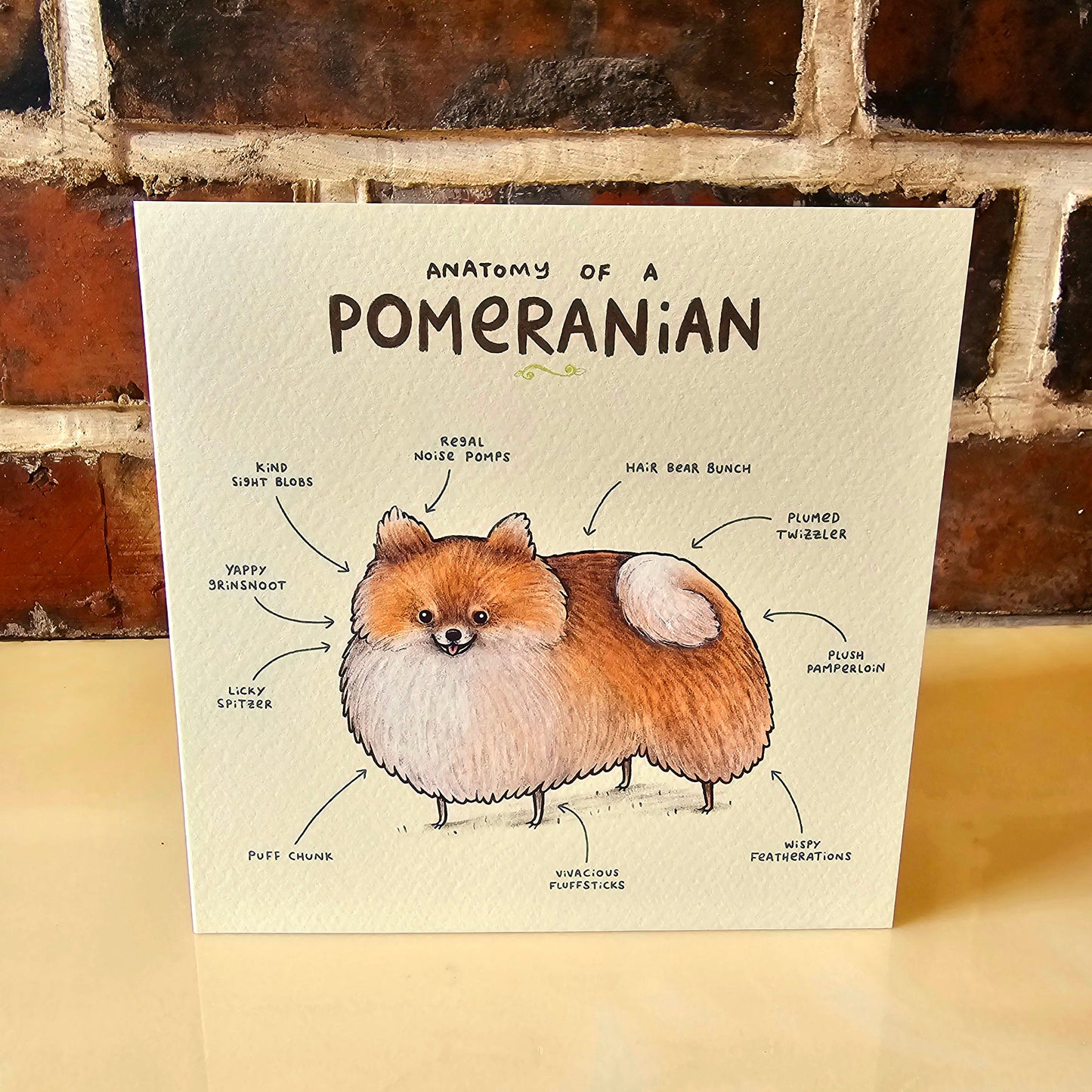 Anatomy of a Pomeranian Greeting Card: Funny Dog Illustration