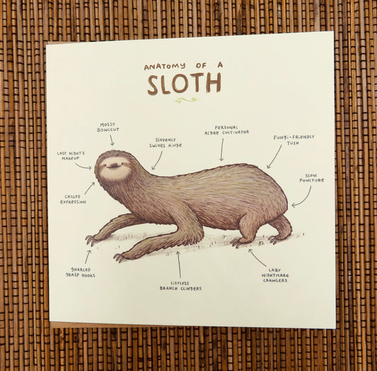 Anatomy of a Sloth Card
