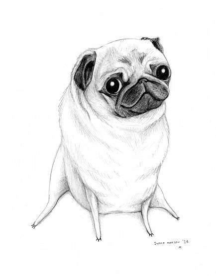 Pencil Pet Portrait - A4