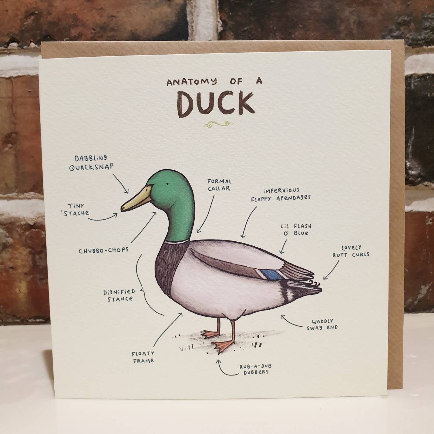 Anatomy Of A Duck Card