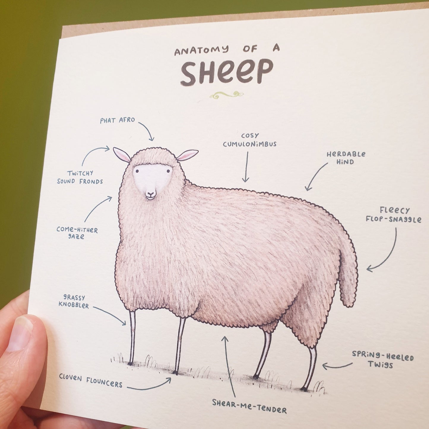 Anatomy of a Sheep Card