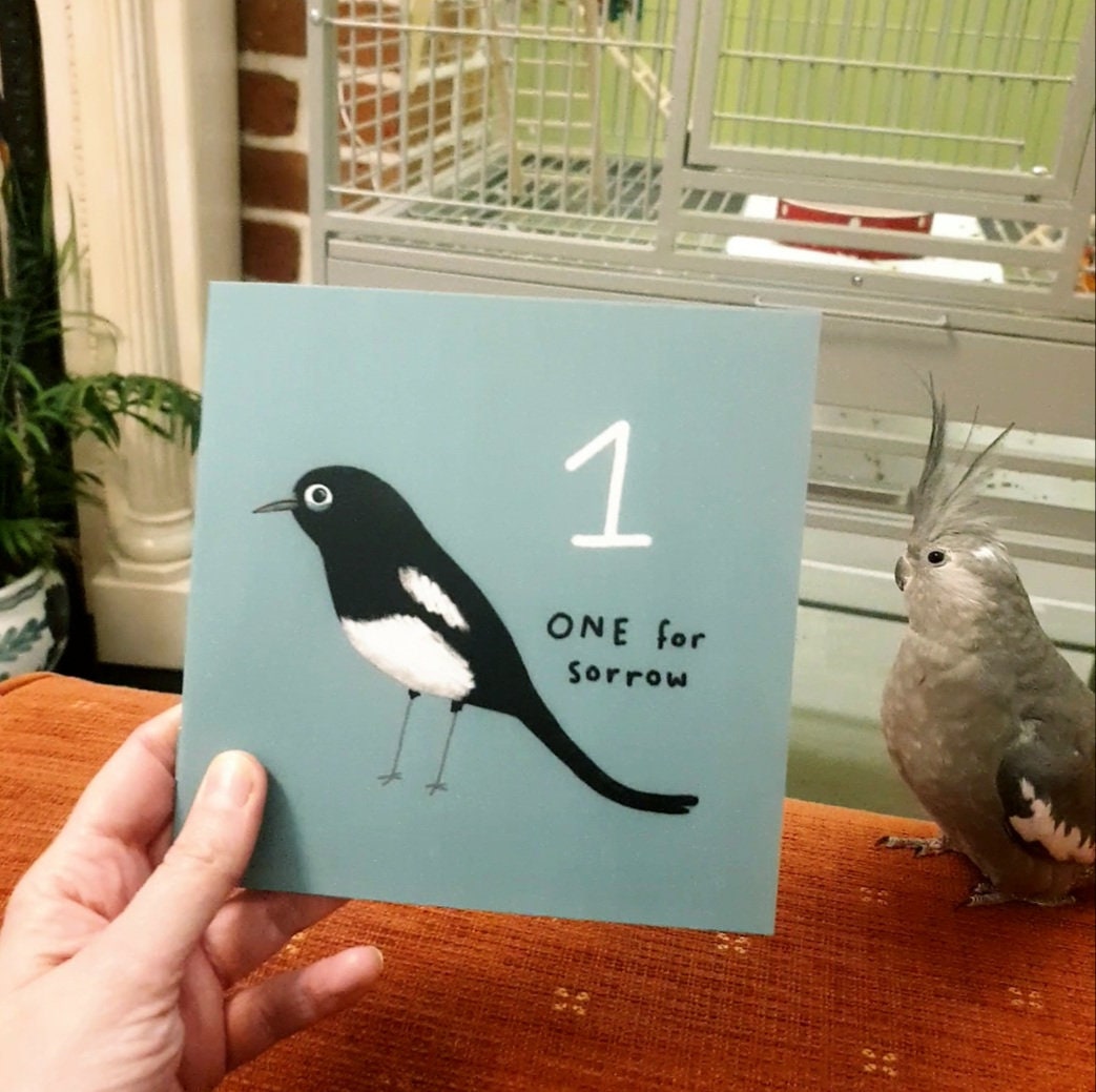 One For Sorrow Magpie Nursery Rhyme Mini Art Zine: Hand Signed Children's Picture Book