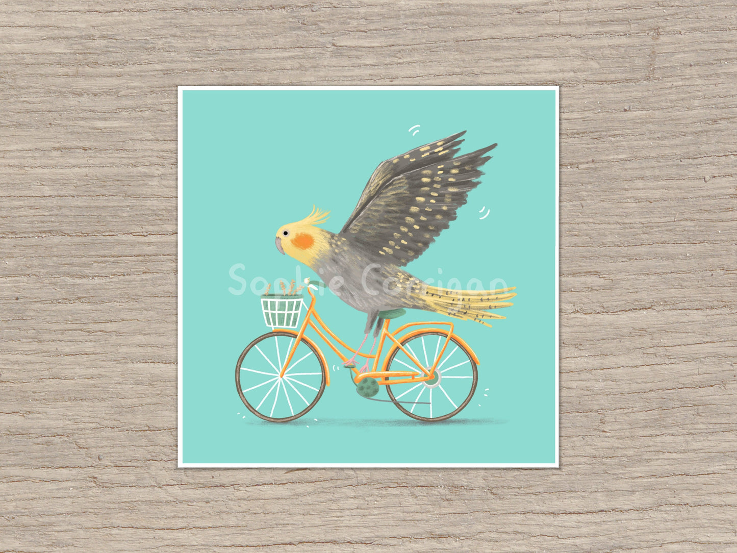 Cockatiel on a Bicycle Signed Art Print