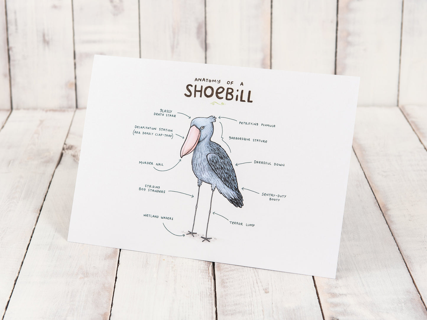 Anatomy Of A Shoebill A4 Signed Print