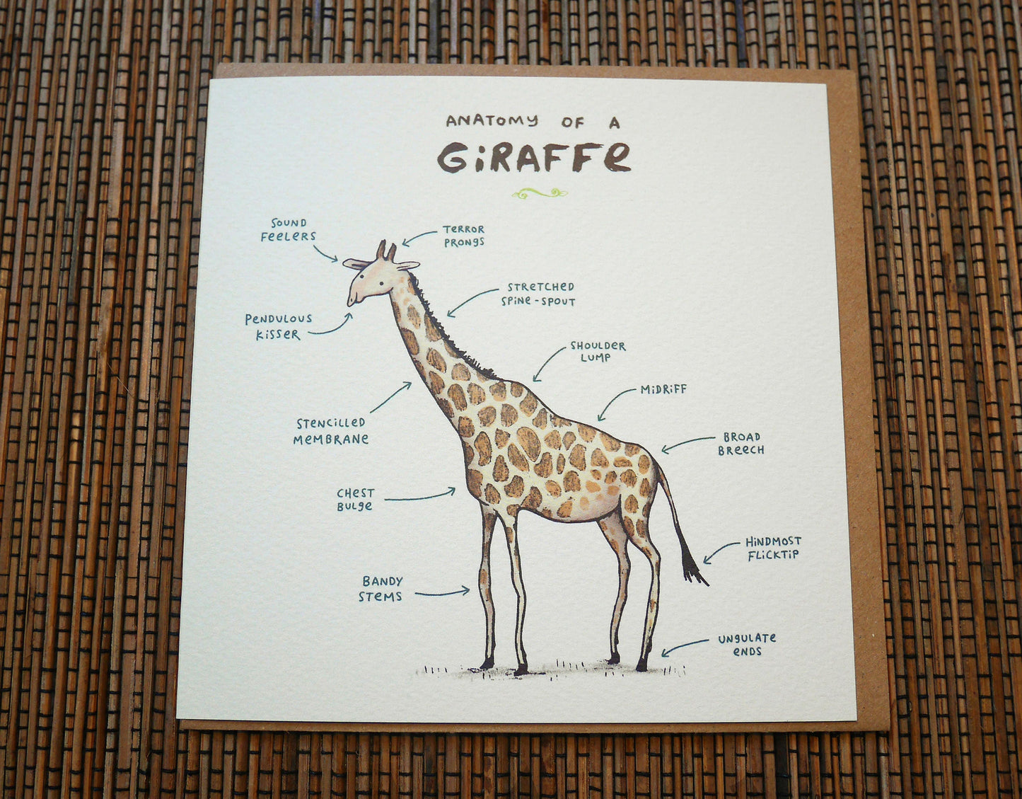 Anatomy Of A Giraffe Card