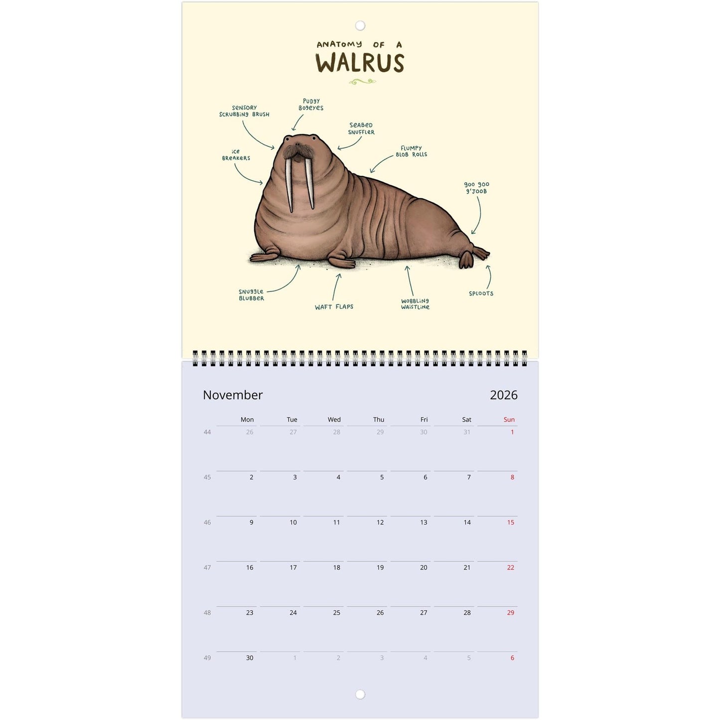 Animal Anatomy 2026 July - 2027 June Cute Creatures 12 Month Wall Calendar