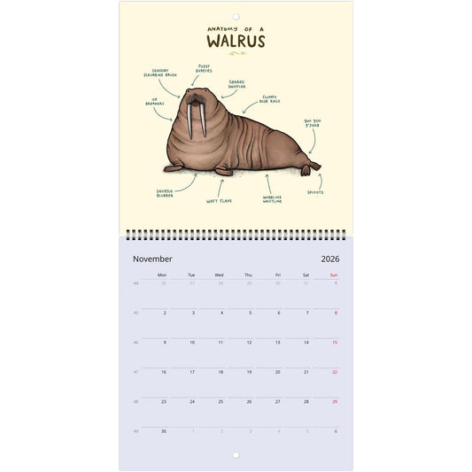 Animal Anatomy 2026 July - 2027 June Cute Creatures 12 Month Wall Calendar